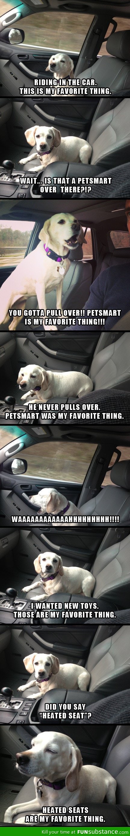 Best co-pilot ever