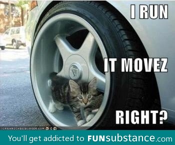 Kitty powered car