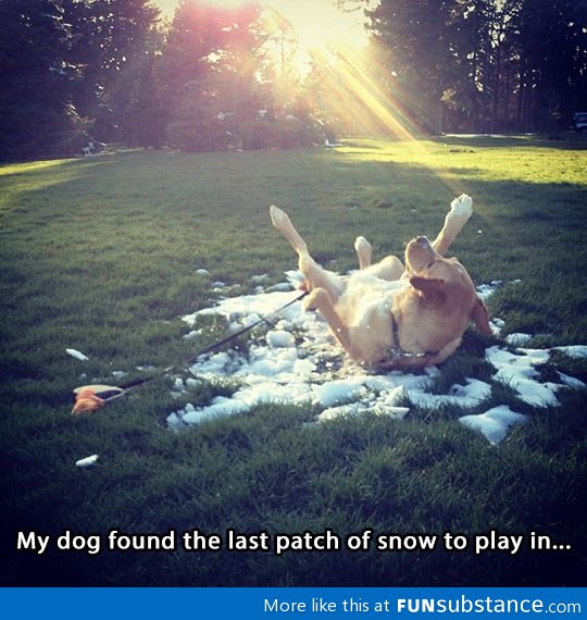 He'll miss winter, that's for sure