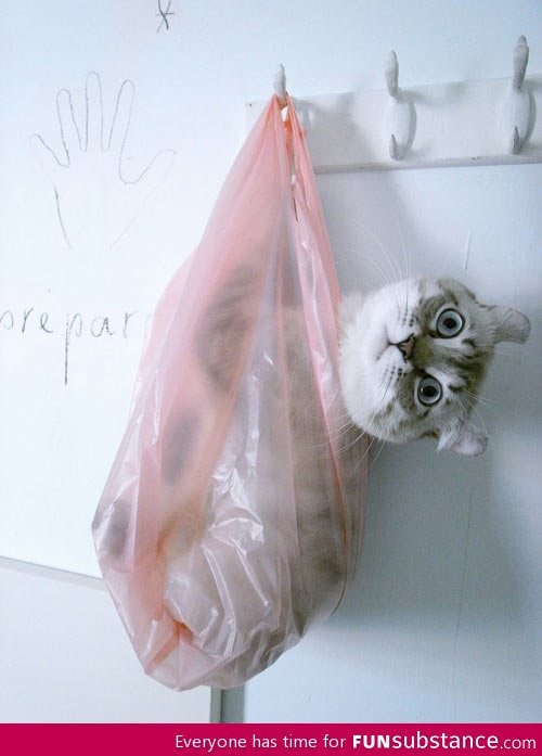 Don't let the cat out of the bag!