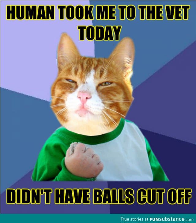 Gonna party my 9 lives off