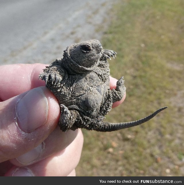 "I'm the Devil! Put me down hooman! "