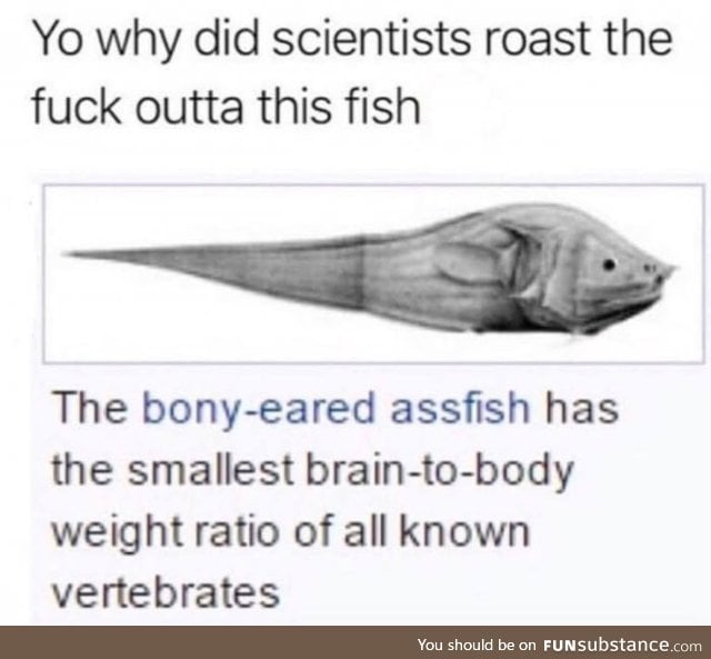 Poor fish