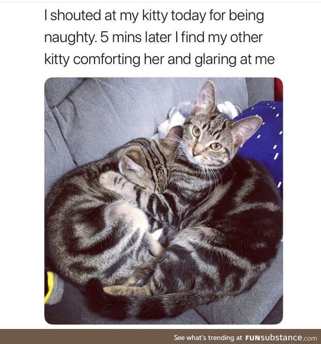 Owner should make sure to close the bedroom door when he goes to sleep tonight