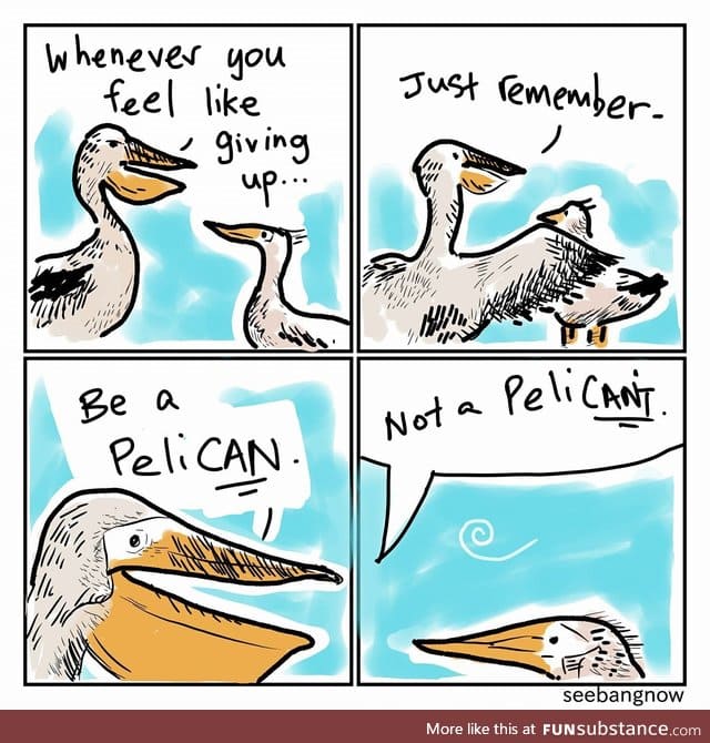 Pelimaybe