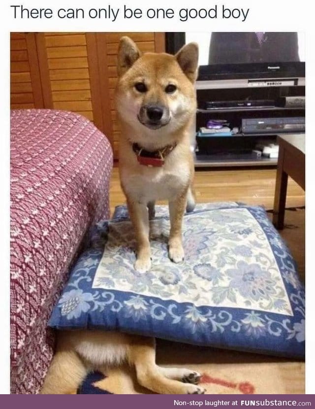 The baddest good boy