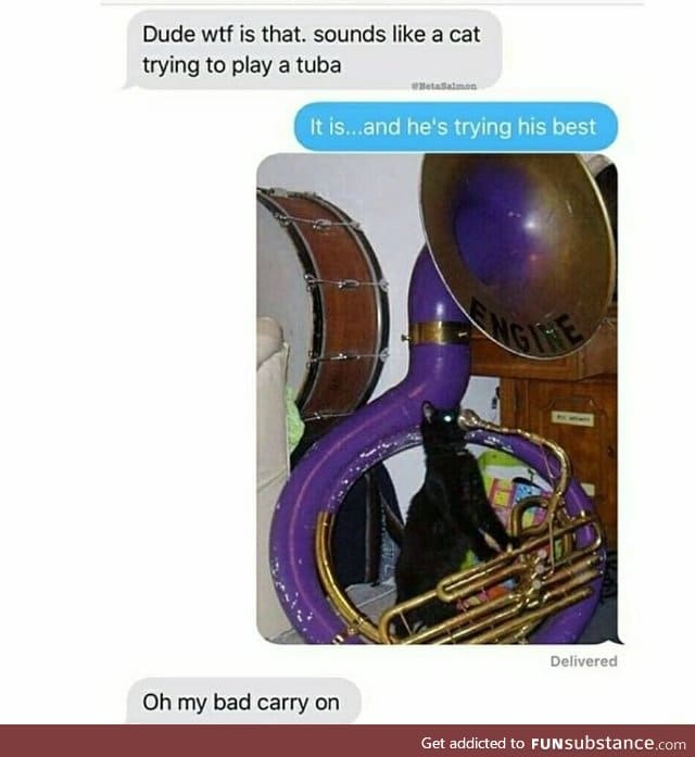 Cat trying to play a tuba