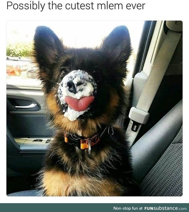Slorp