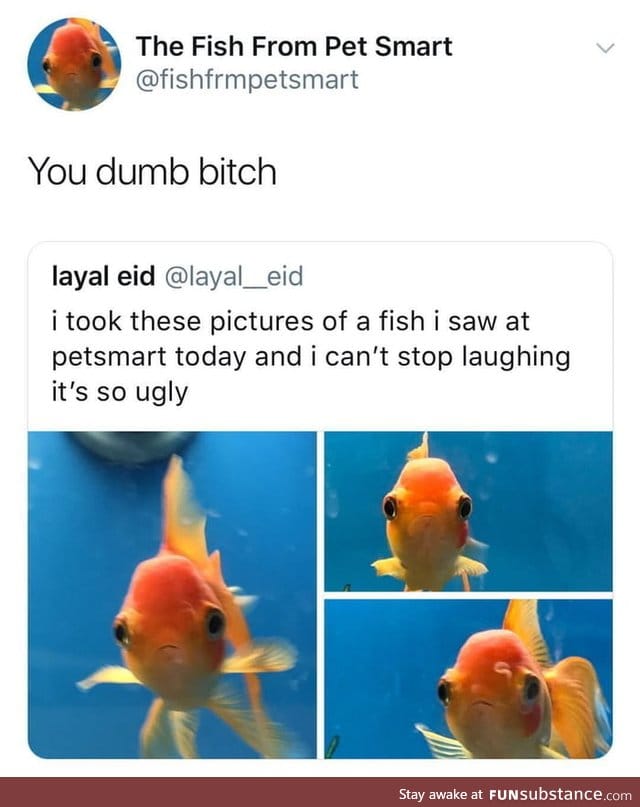 Poor fish