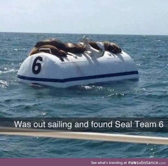 The real Seal Team 6.....????????????