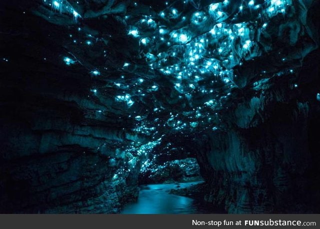 This is an actual cave in New Zealand. It is illuminated by glowing worms (Arachnocampa