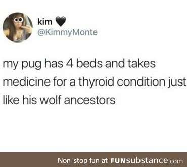 Wolves had five beds