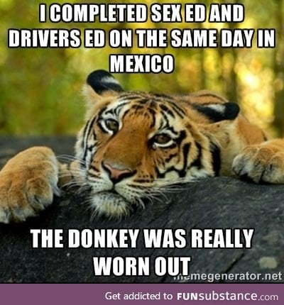 Poor Kelly sure was tired afterwards