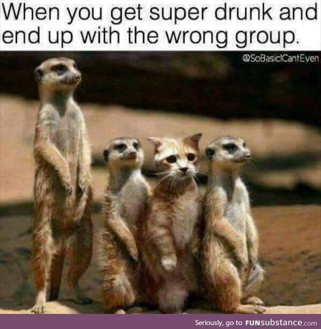 Awww cute