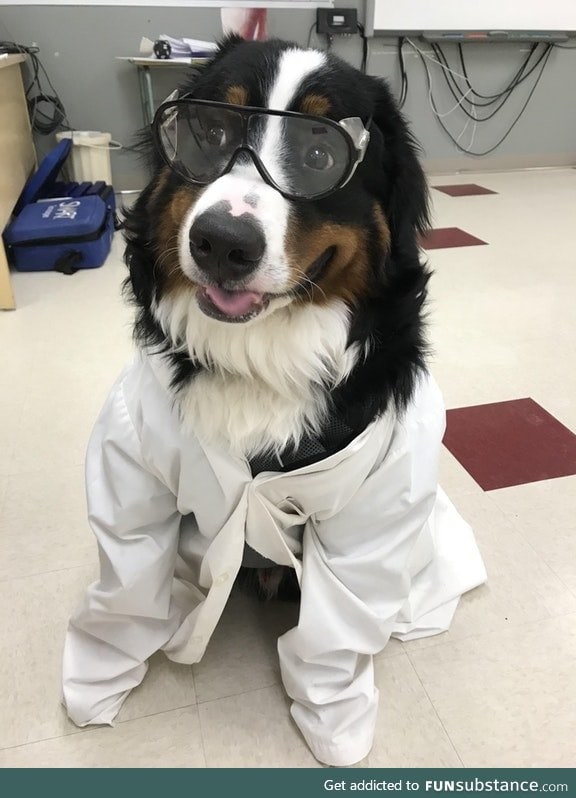 "let's do science hooman!"