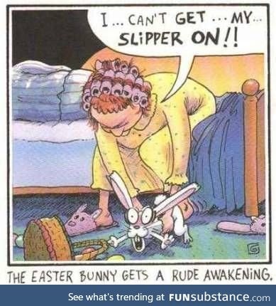 Bunny slippers