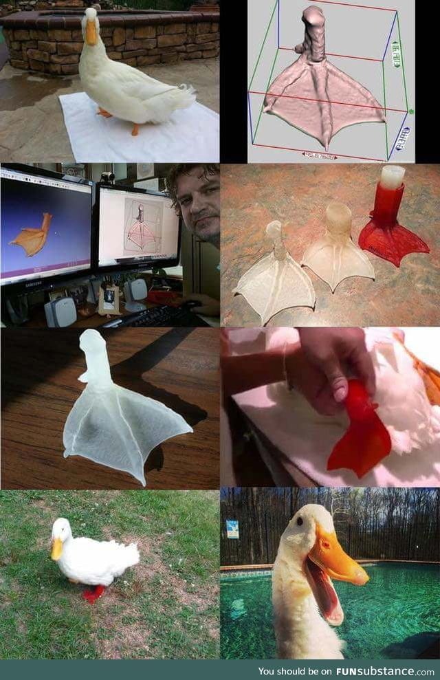 Prosthetic leg solution for a lucky duck