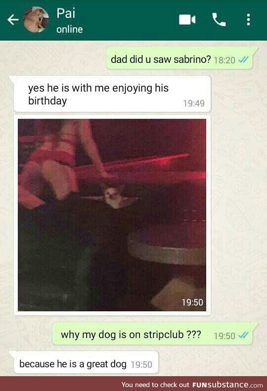 Good boy