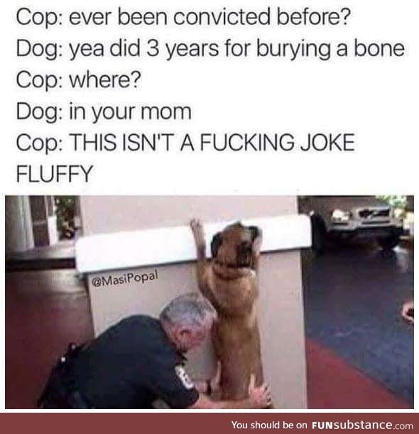 Fluffy don't take no shit from no cop