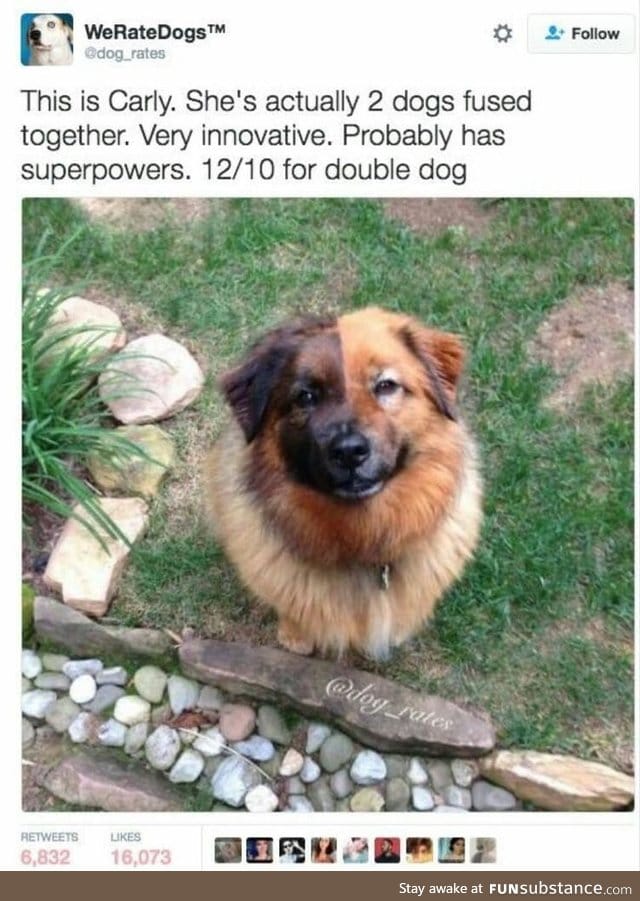 Double the love