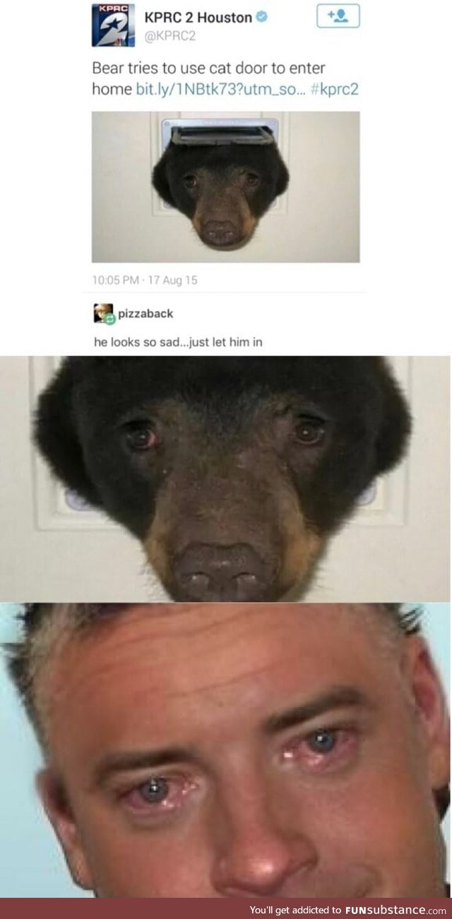 He wants to be a pet