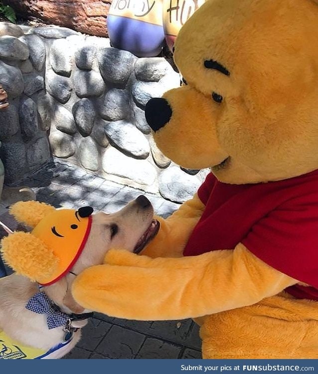 Doggo meet his idol