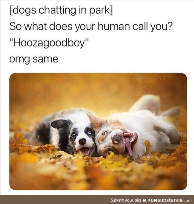 Hoozagoodboy