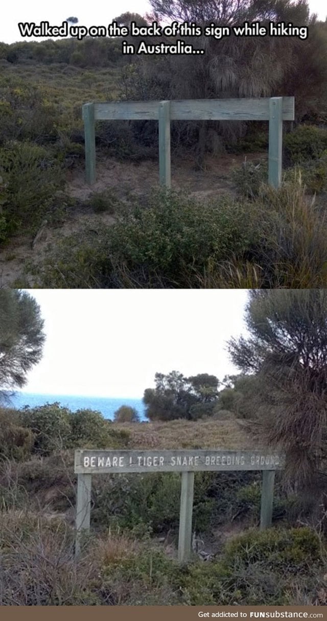 Meanwhile in Australia