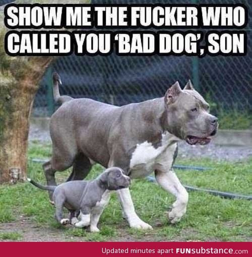 Show me that f*cker son
