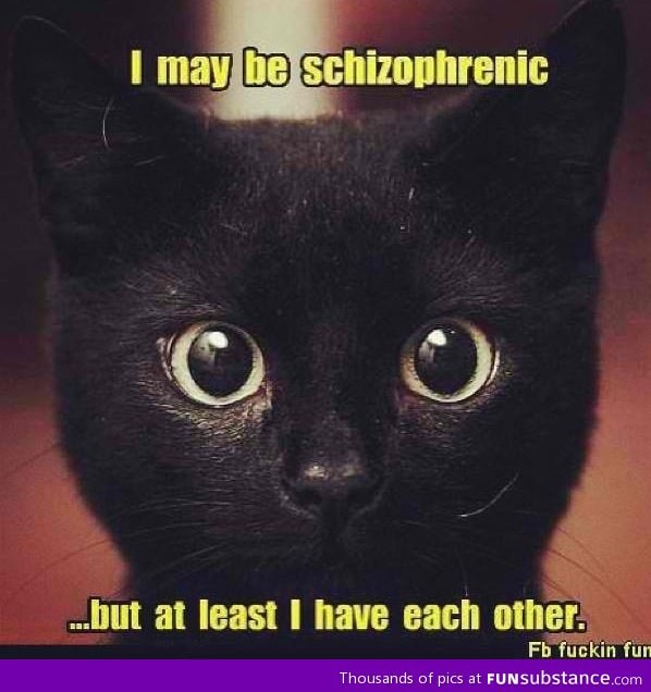 What I think of when my cat starts rolling around with itself