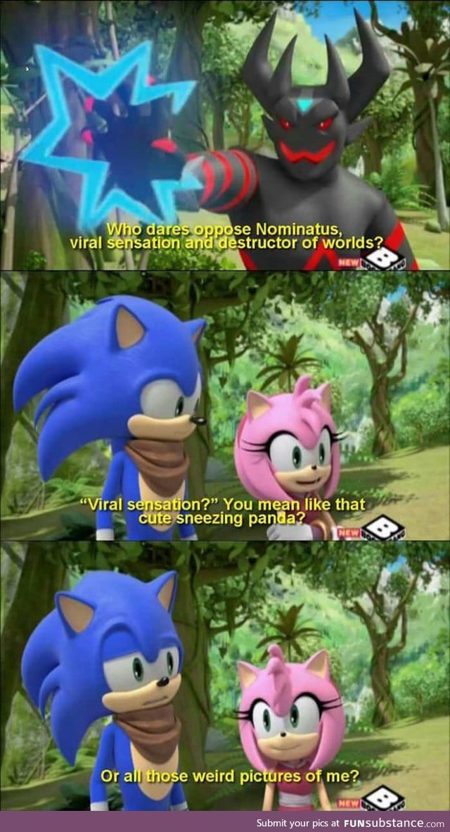 Sonic knows the internet is crazy