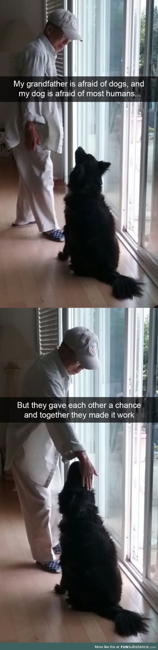 Unexpected friendship