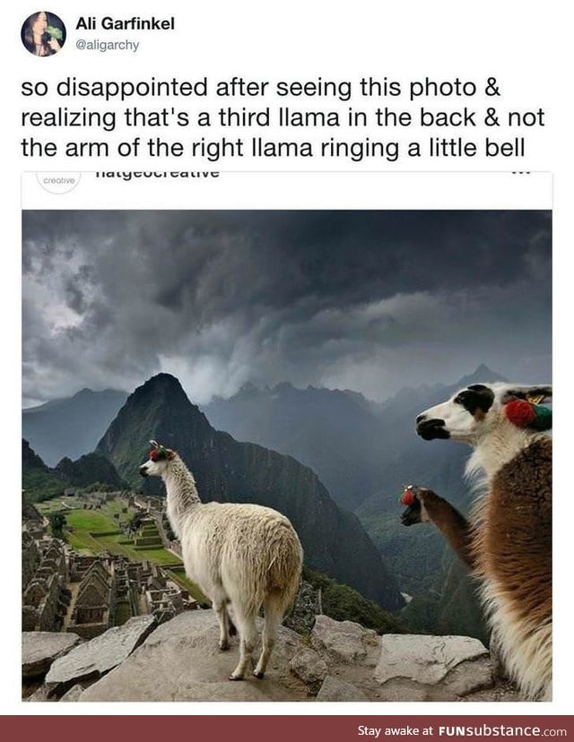 Llama