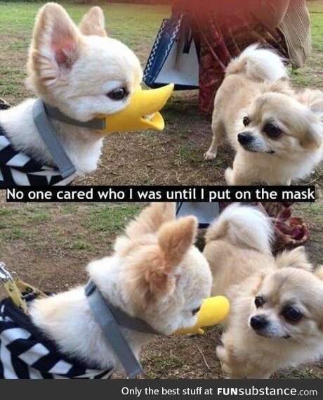 "quack!"