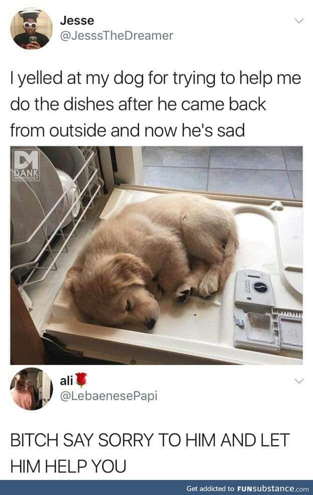 Apologise!