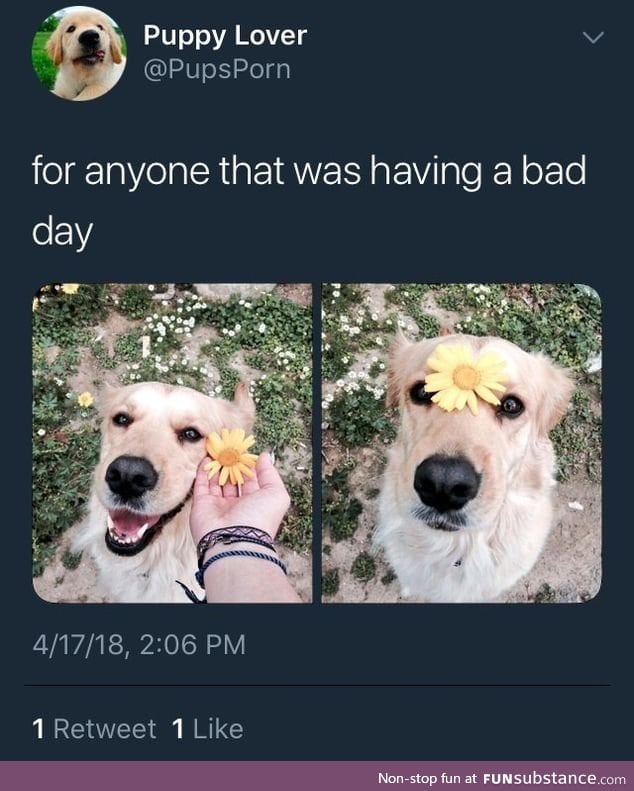 Have a great day