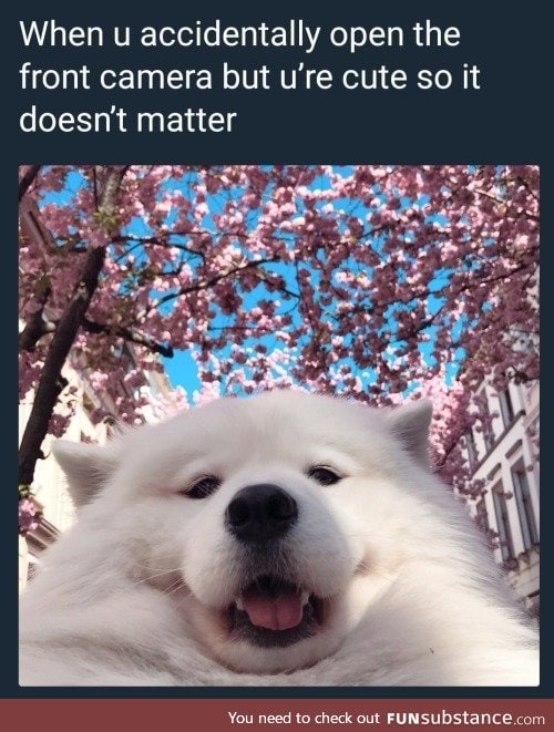 Adorable