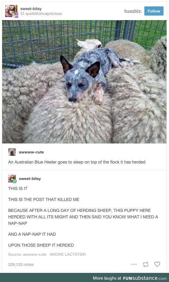 Well-deserved rest