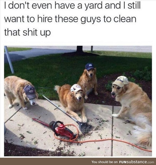 Hired!