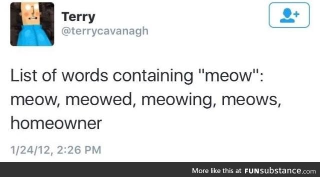 I will never say homeowner the same again