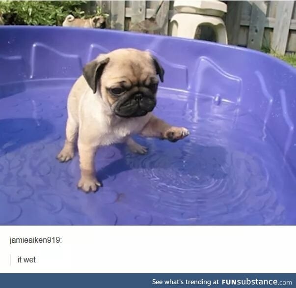 *smol tap*
