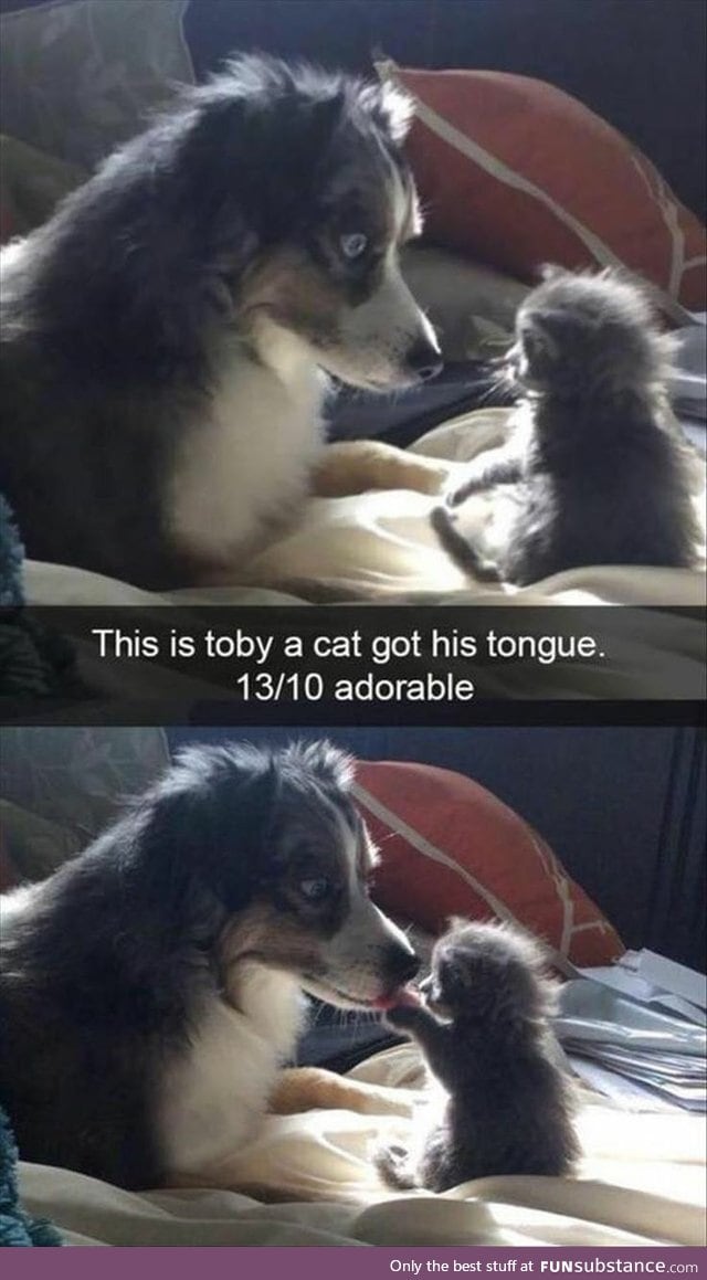 blep