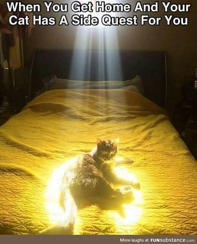 Goddammit mittens!!!
