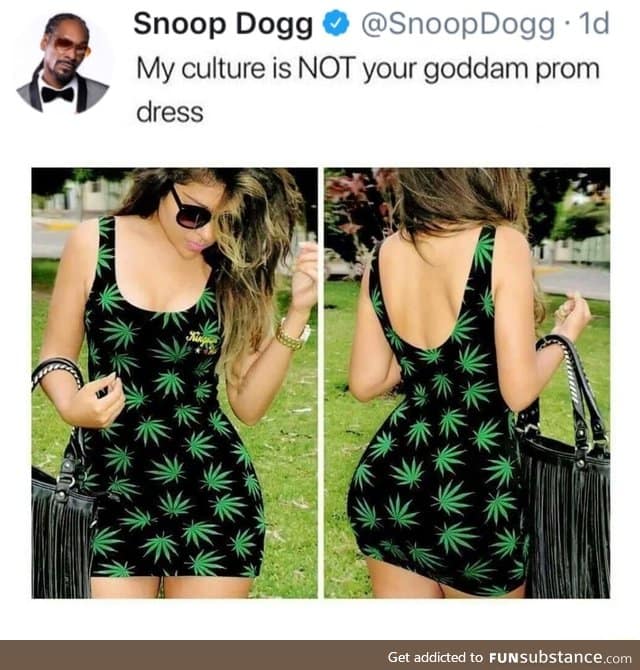 Culture appropriation