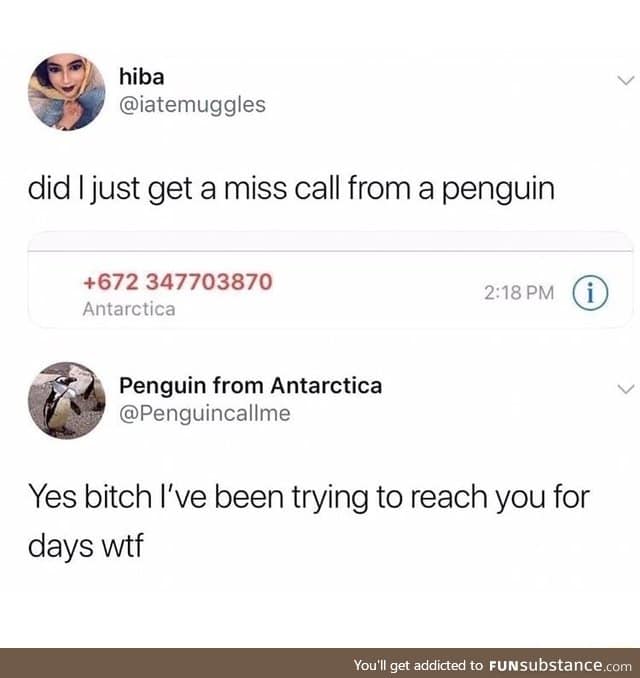 Penguin