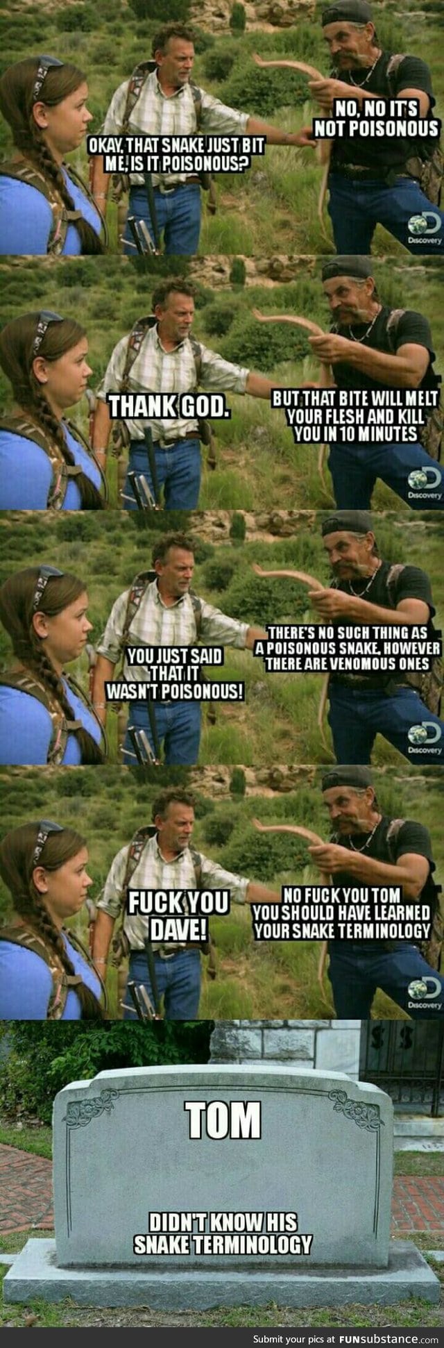 Snake terminology