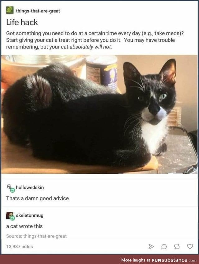 Advice