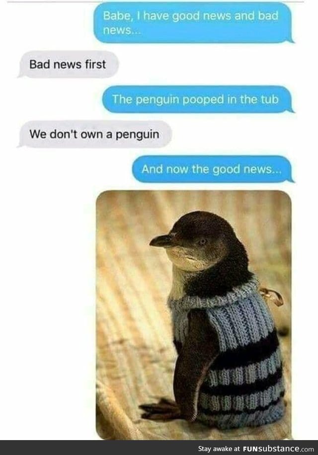 The penguin