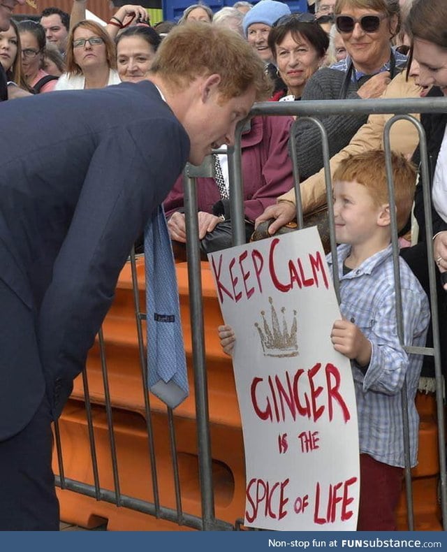 Prince Harry meets a fellow ginger