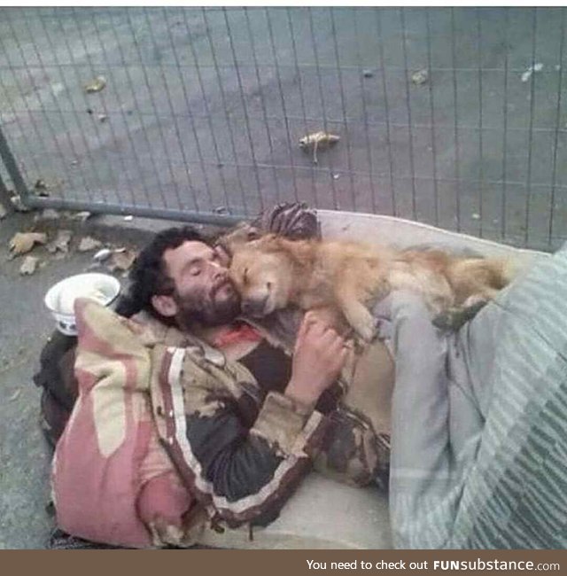 The most loyal friend for human